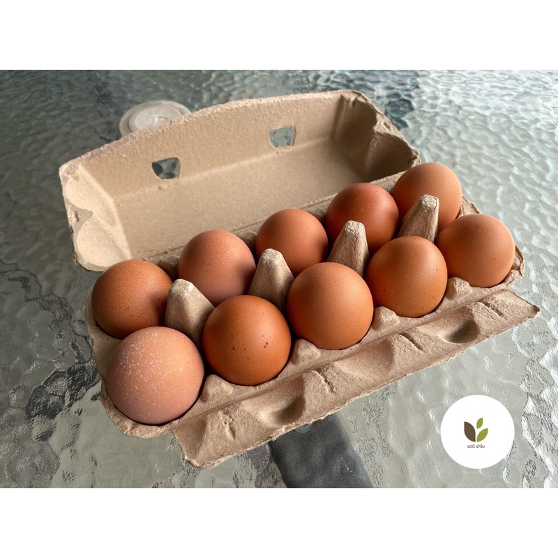 ภาพหน้าปกสินค้าไข่ไก่ปลอดสารพิษ 10 ฟอง สดจากฟาร์ม จากร้าน pomee_farm บน Shopee