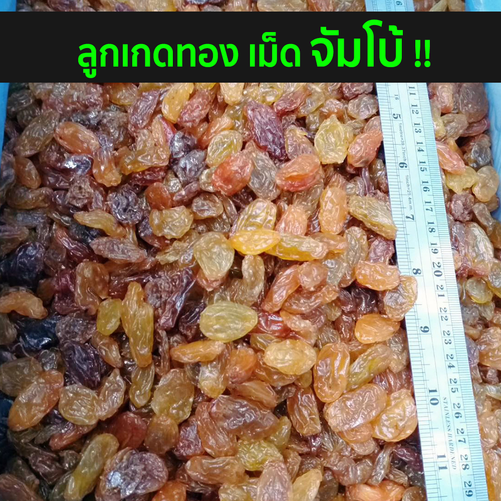 ลูกเกดทองจัมโบ้-1000กรัม-ลูกเกดจัมโบ้-หวาน-ลูกเกดเม็ดใหญ่-เนื้อแน่น-อร่อย-สด-ใหม่-ผลไม้-ผลไม้อบแห้ง-ผลไม้แช่อิ่ม