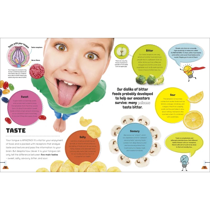 dktoday-หนังสือ-science-you-can-eat-dorling-kindersley