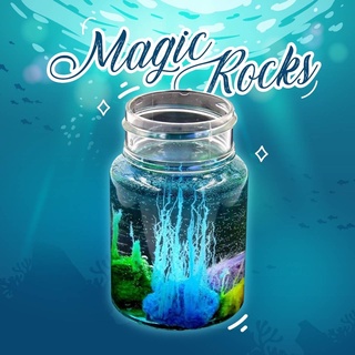 การทดลองชุด Magic Rocks