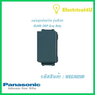 Panasonic WEG3020H WIDE SERIES GRAY BODY แผ่นอุดช่องว่าง  รุ่นสีเทา