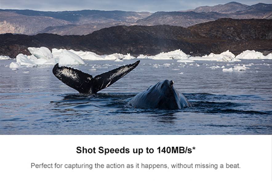 รูปภาพเพิ่มเติมเกี่ยวกับ SANDISK EXTREME PRO SDXC UHS-I CARD 512GB (SDSDXXD-512G-GN4IN) ความเร็ว อ่าน 200MB/s เขียน 140MB/s