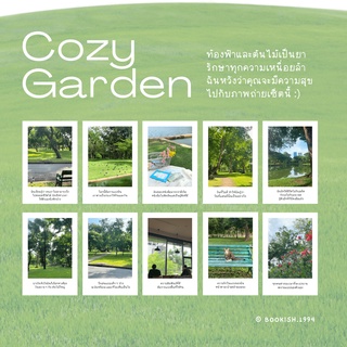 โปสการ์ดแต่งห้อง l Cozy Garden ( 10 ภาพ/ เซ็ต ภาพไม่ซ้ำกัน ) 💚🌻