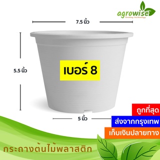 🌵 กระถางต้นไม้พลาสติก กระถางต้นไม้ กระถางกระบองเพชร สีขาว ครีม 8 นิ้ว ราคาส่ง