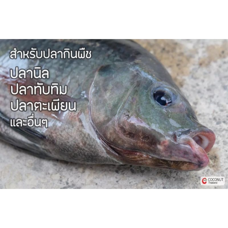 อาหารปลากินพืช-cp9932-เม็ดกลาง-ขนาด20กิโล