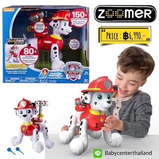 Paw patrol Zoomer Marshall