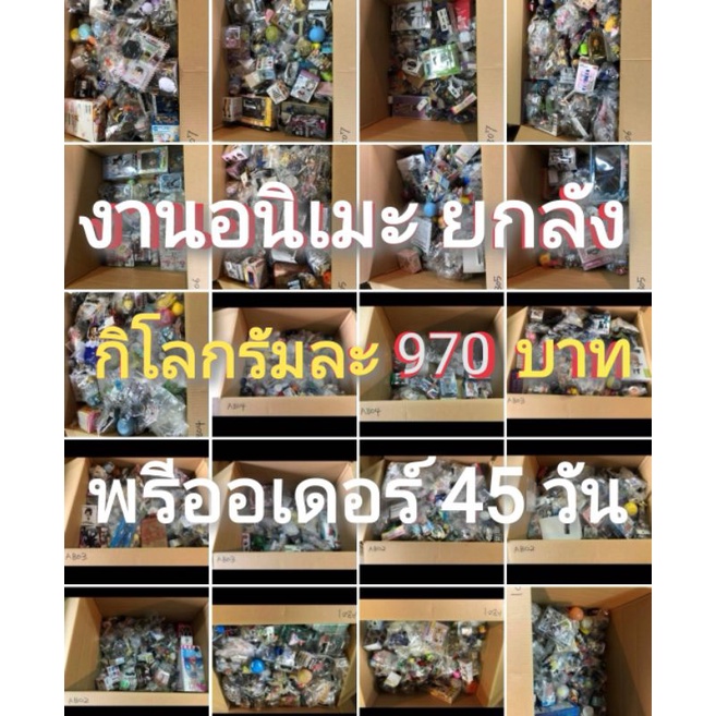 รับพรีออร์เดอร์-สินค้าอนิเมะ-กิโลกรัมละ-970-บาท