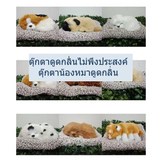 สินค้า ตุ๊กตาดูดกลิ่นอับ ดูดกลิ่นอับในรถ ในบ้าน ตุ๊กตาดูดกลิ่นไม่พึงประสงค์ ตุ๊กตาน้องหมาดูดกลิ่น