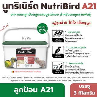 สินค้า NutriBird A21 นูทริเบิร์ด เอ21 🦜อาหารลูกป้อนสำหรับนก [ถัง3กิโล] หมดอายุ 31/8/2023