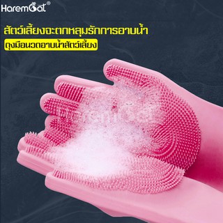 ภาพหน้าปกสินค้าถุงมืออาบน้ำสัตว์เลี้ยง ถุงมือแปรงขน ถุงมืออาบน้ำแมว ป้องกันสัตว์เลี้ยงข่วน ซิลิโคนอ่อนนุ่ม ซึ่งคุณอาจชอบสินค้านี้