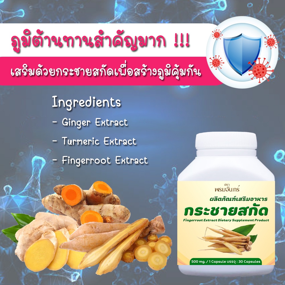 ส่งฟรี-ของแท้-100-กระชายสกัด-กระชายแคปซูล-500-mg-กระชายขาวสกัด-สารสกัดกระชายขาว-มี-อ-ย-ถูกต้อง-ปลอดภัย