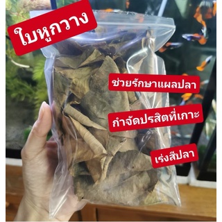 ภาพหน้าปกสินค้าใบหูกวาง🐟รักษาแผลตามตัวปลา​5แถม1 ที่เกี่ยวข้อง