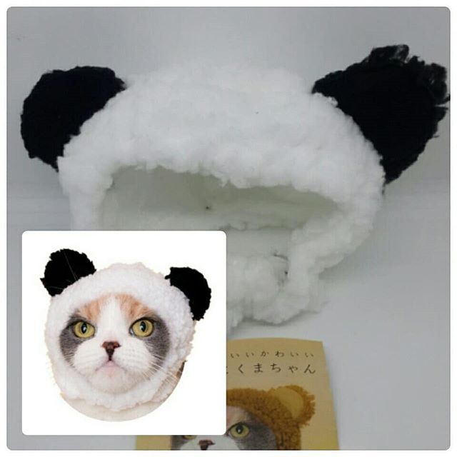 Bear Cat Hat Gachapon Shopee Thailand