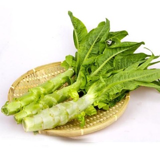 （เมล็ดพันธุ์ ถูก คละ）ปลูกได้ทั่วไทย ปลูกง่าย Asparagus Lettuce Seeds บรรจุ 200 แคปซูล ต้นไม้ เมล็ดพันธุ์ผัก เมล็ดพันธุ์