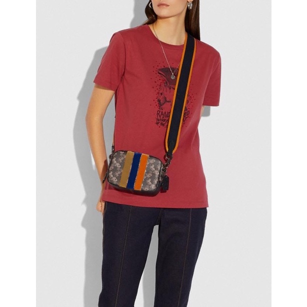 Camera bag 16 with horse and carriage print and varsity stripe sale