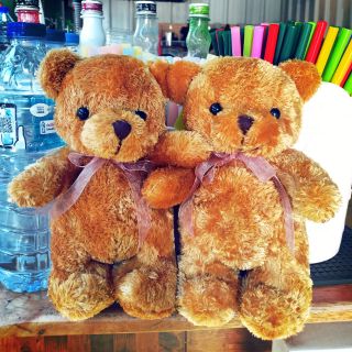 หมีคู่รัก ❤️ ของขวัญ