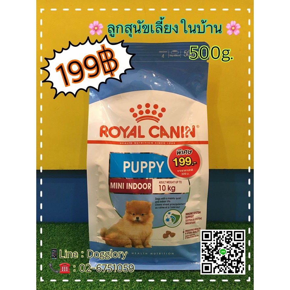 royal-canin-สูตรสุนัขพันธุ์เล็กเลี้ยงในบ้าน-500กรัม