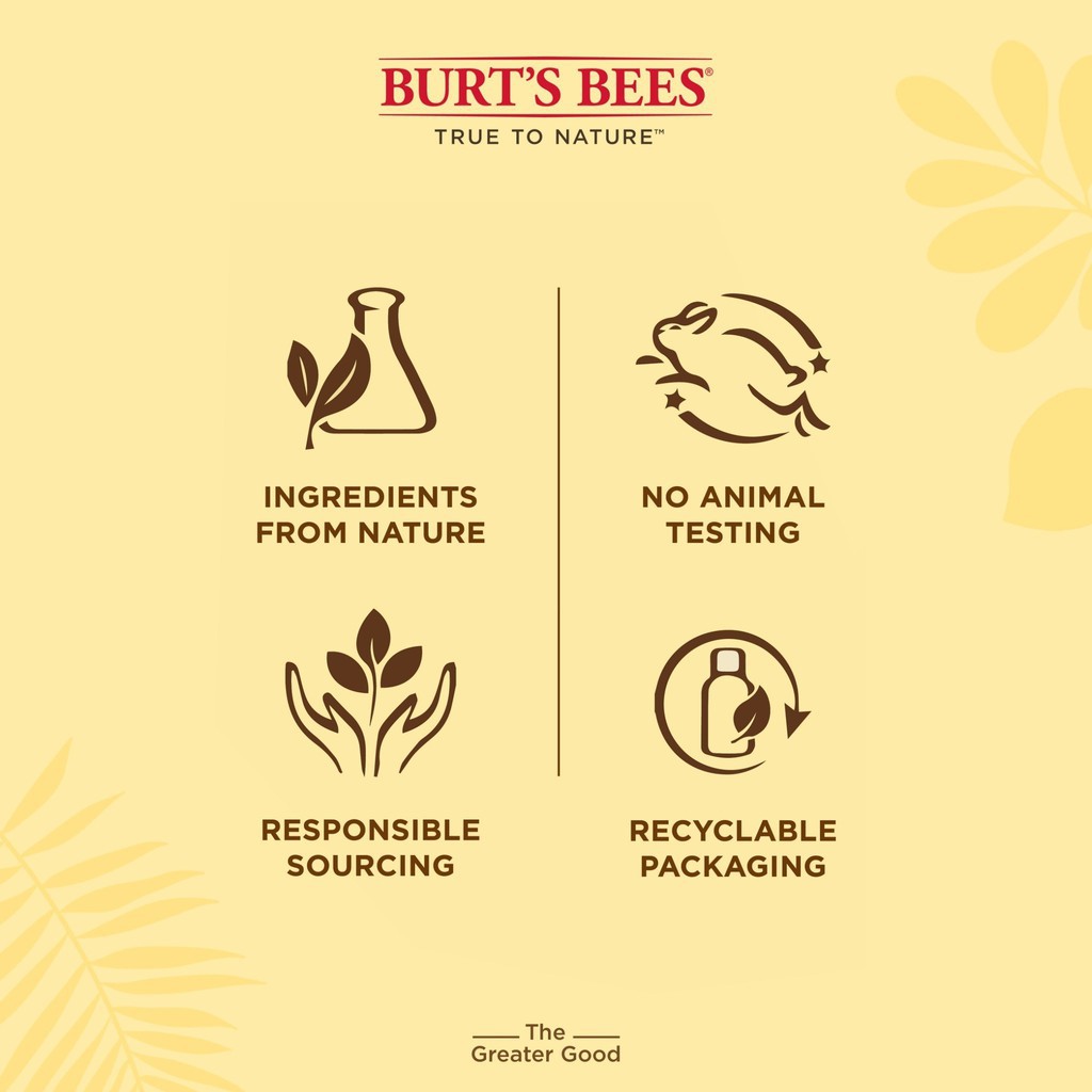 burts-bees-lip-balm-cucumber-mint-4-25-g