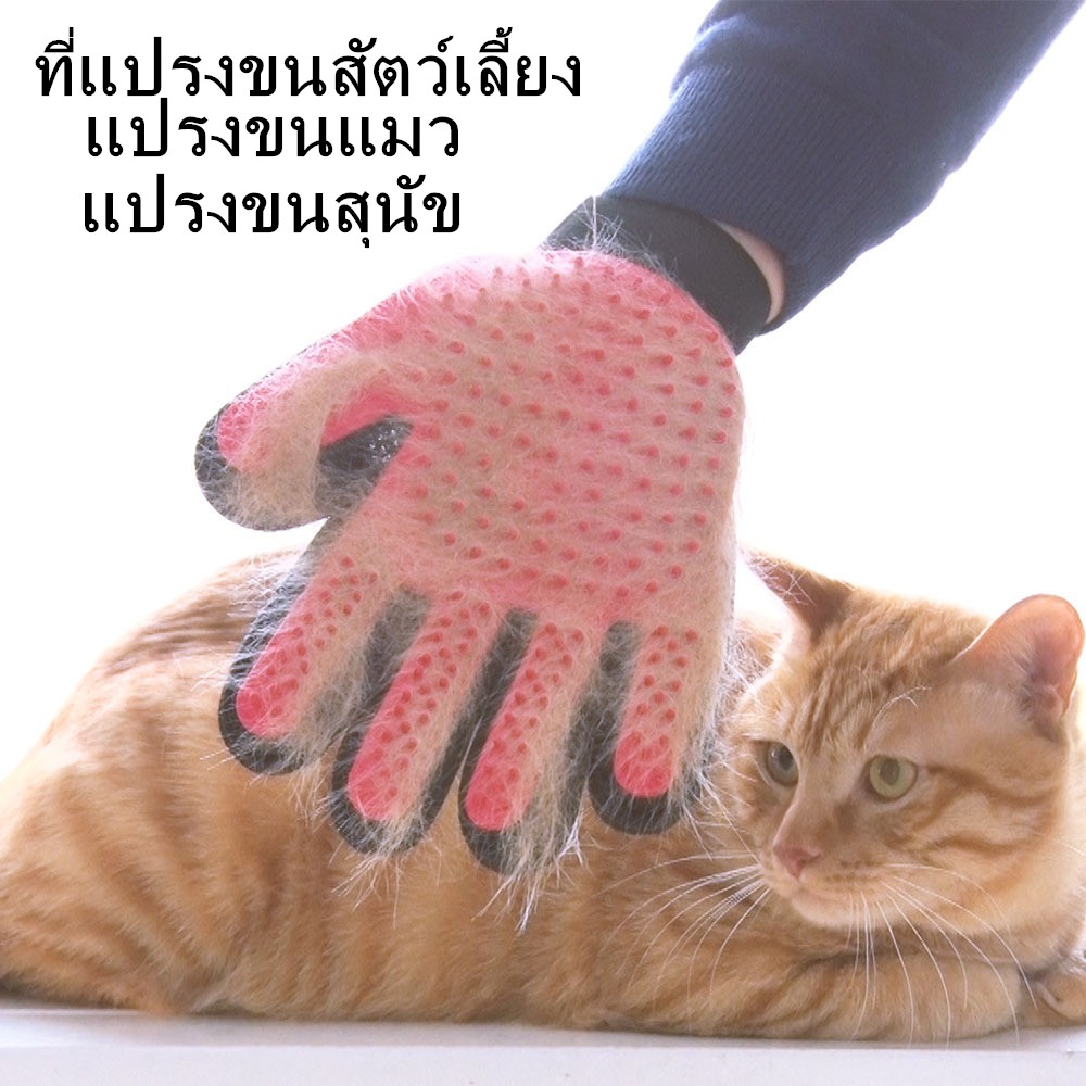 ถุงมือแปรงขนแมว-แปรงขนสุนัข-ที่แปรงขนสัตว์เลี้ยง