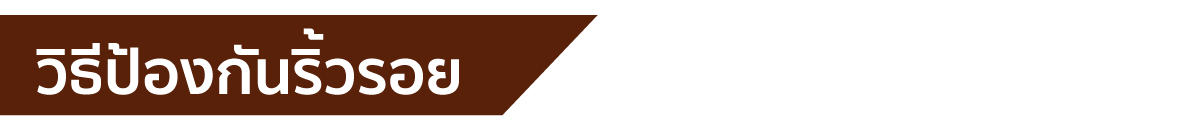 webp_image