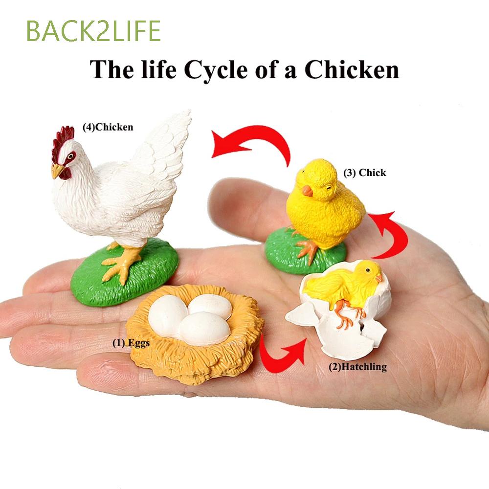 back2life-science-toy-growth-cycle-model-biology-life-cycle-figurine-simulation-animals-butterfly-growth-cycle-spider-chicken-educational-teaching-material-plastic-models-action-figures