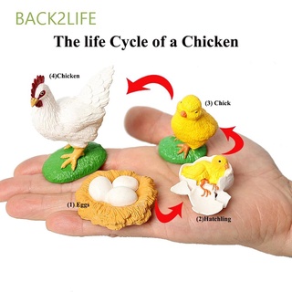 BACK2LIFE Science Toy Growth Cycle Model Biology Life Cycle Figurine Simulation Animals Butterfly Growth Cycle Spider Chicken Educational Teaching Material Plastic Models Action Figures