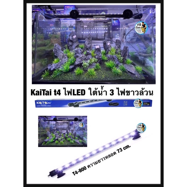 kaitai-หลอดไฟใต้น้ำ-ไฟขาวล้วน-t4-800-t4-900-t4-1000-t4-1200