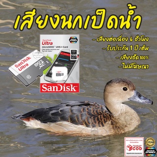 เสียงต่อ นกเป็ดน้ำ ยาว6ชั่วโมง ไม่มีโฆษณา เมมโมรี่เล็ก(Micro SD) มีเก็บเงินปลายทาง