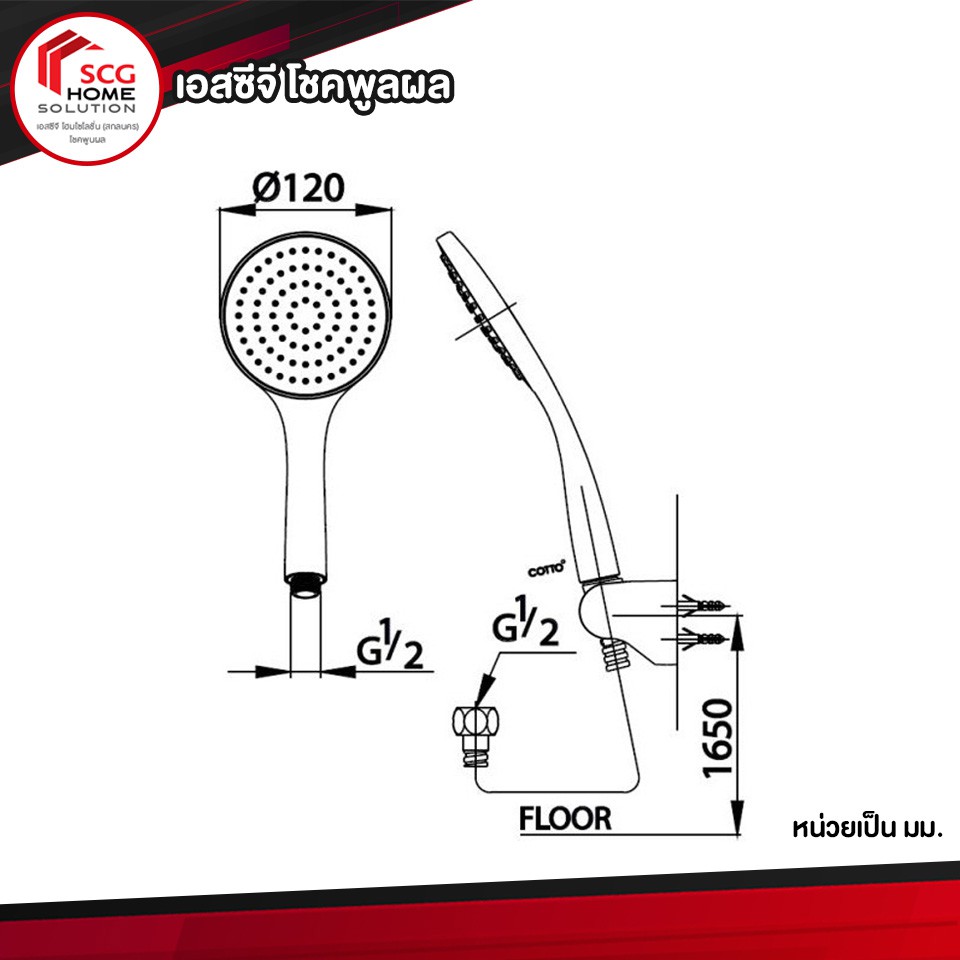 zh011-hm-ฝักบัวพร้อมสาย-1-ฟังก์ชั่น-cotto