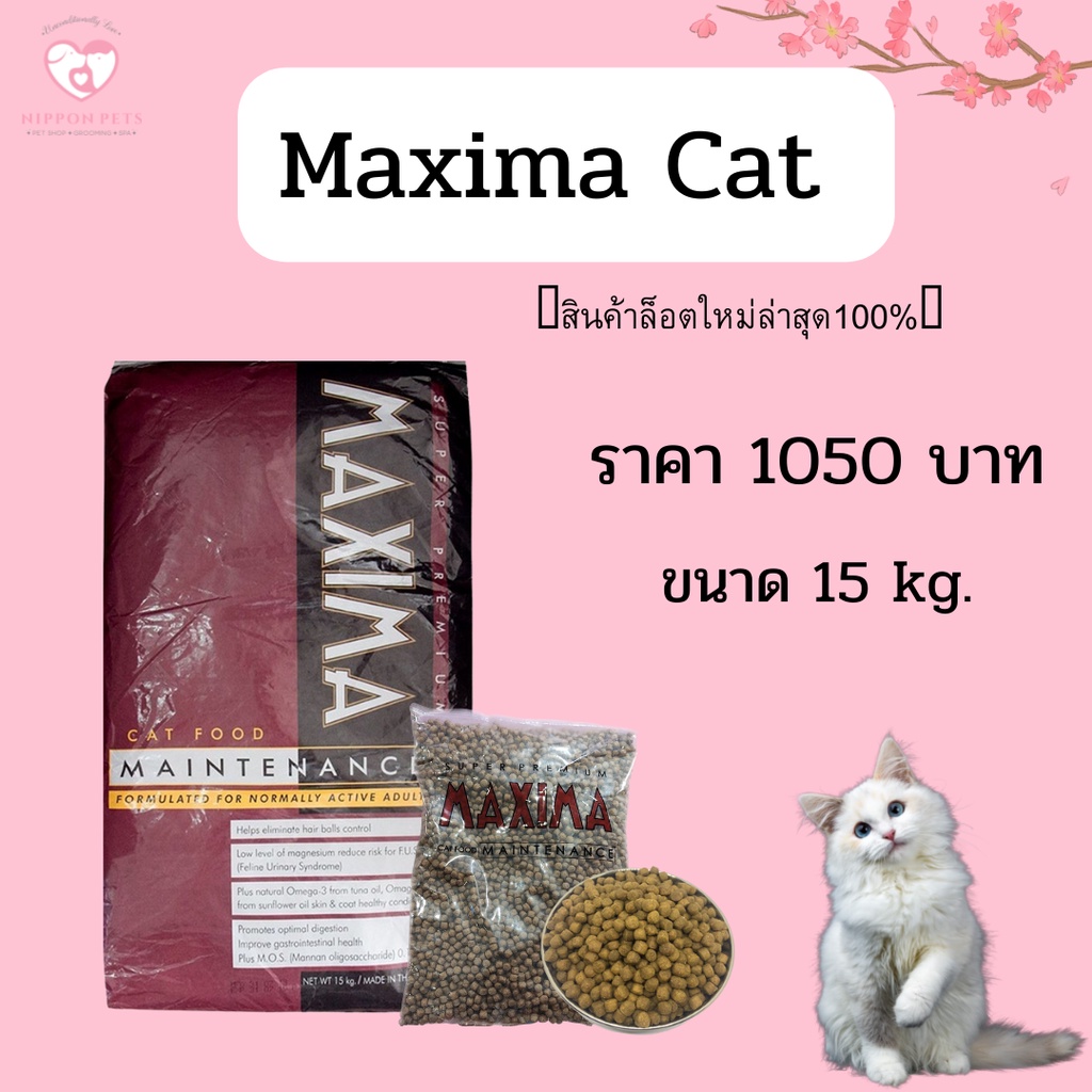 อาหารแมวMaxima Cat Maintenance ขนาด 15 กก. Shopee Thailand