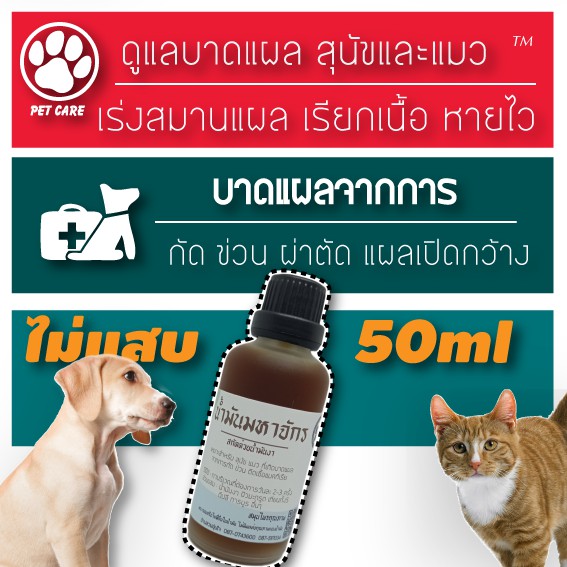 ภาพหน้าปกสินค้ารักษาแผลสด แผลเปื่อย แผลผ่าตัด แผลกัด-ข่วน ของ หมา แมว 50ml