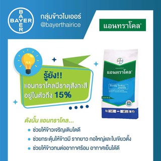 ภาพหน้าปกสินค้าแอนทราโคล( Antracol ) สารโพรพิเนบ สารป้องกันและกำจัดโรคพืช ( 1 กิโลกรัม ) ที่เกี่ยวข้อง