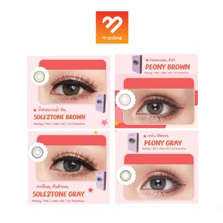 (กล่อง 0.00 ถึง -3.00 ) Lovely Lens Plus Blister รุ่น Peony Sole2tone Brown Gray สีน้ำตาล สีเทา คอนแทคเลนส์ contactlens