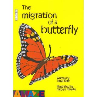 DKTODAY หนังสือ AMAZE: THE MIGRATION OF A BUTTERFLY