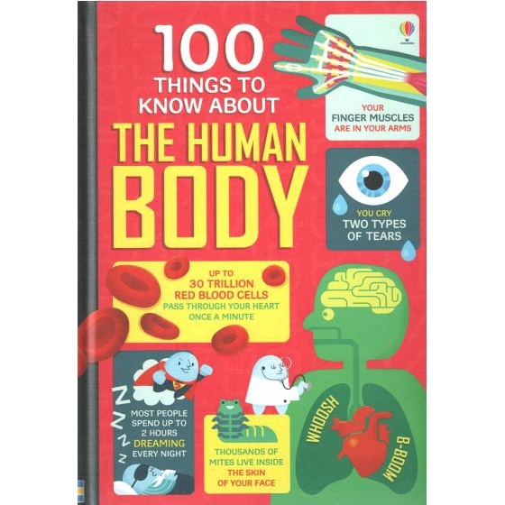 dktoday-หนังสือ-usborne-100-things-to-know-about-the-human-body-age-8