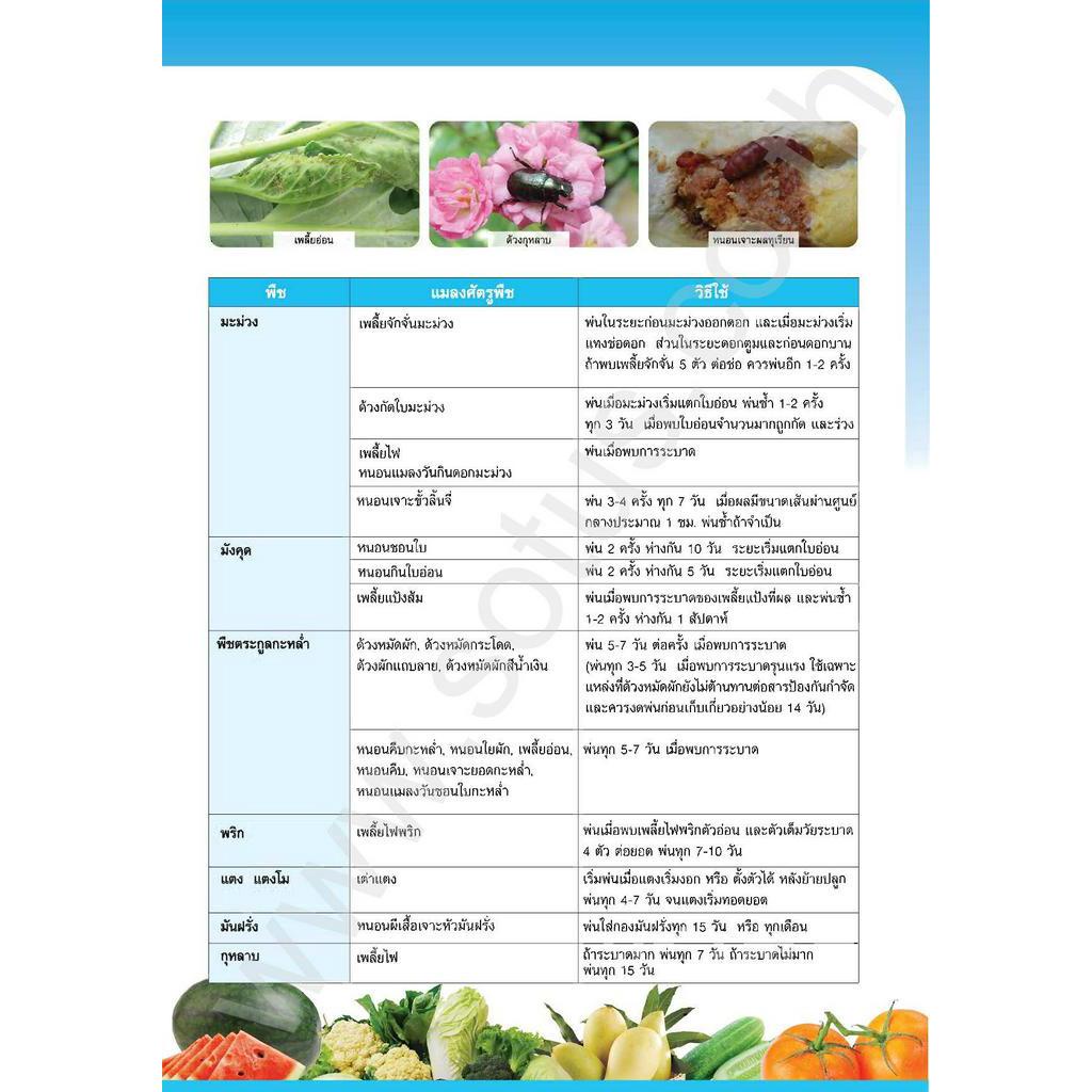 100g-bayer-เซฟวิน-85-คาร์บาริล-sevin-85-carbaryl-ยาฆ่าหนอน-ยาฆ่าเพลี้ย-ยาฆ่าแมลง-ชนิดถูกตัวตายและกินตาย