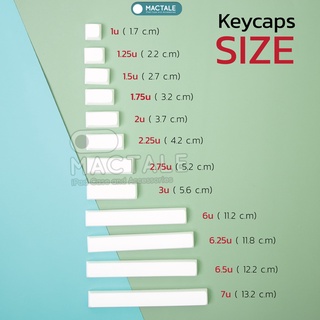 ภาพขนาดย่อของภาพหน้าปกสินค้าMactale Blank Keycaps คีย์แคปเปล่า สีขาว XDA PBT ขนาด 1-1.25-3-6.25-7u ปุ่ม caps, shift, tab, enter, spacebar ป จากร้าน chutikarnw. บน Shopee ภาพที่ 2