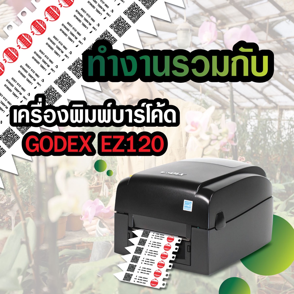 collection-7x1-5-ป้าย-tag-ต้นไม้-tag-กล้วยไม้-กระบองเพชร-ทุกแบบทุกประเภท-มีให้เลือกหลายสีใช้งานกับเครื่องพิมพ์ได้