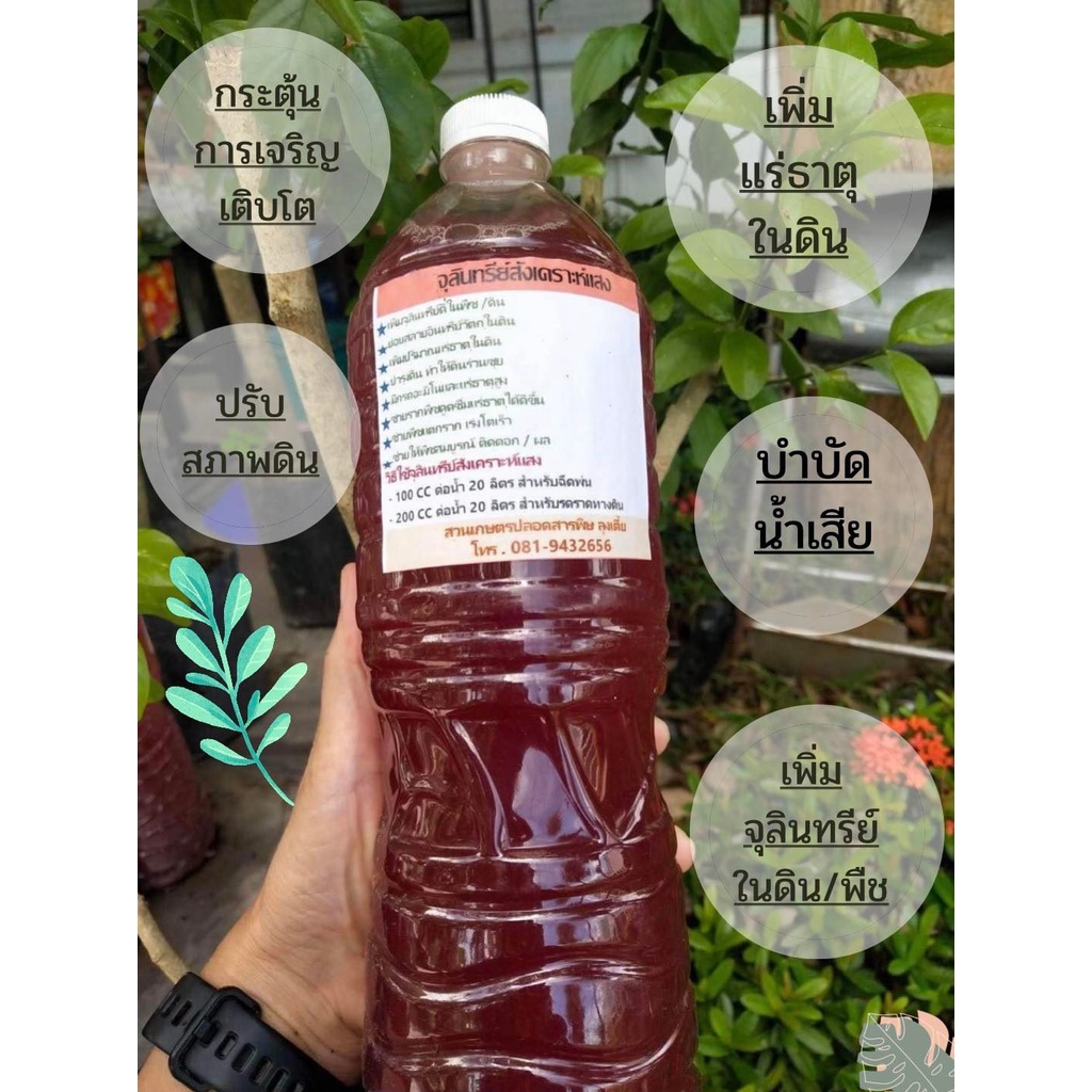 หัวเชื้อ-จุลินทรีย์สังเคราะห์แสง-สูตรเข้มข้น-1500-ml