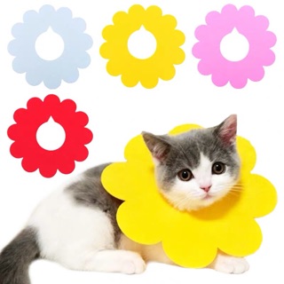 ภาพหน้าปกสินค้า(Hi Pet) Cat Collar คอลล่าแมว ปลอกคอกันเลีย ปลอกคอดอกไม้[PS0020] ที่เกี่ยวข้อง