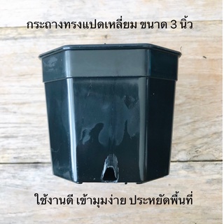 กระถางทรงแปดเหลี่ยม ขนาด 3 นิ้ว กระถางแคคตัส กระถางกระบองเพชร กระถางต้นไม้