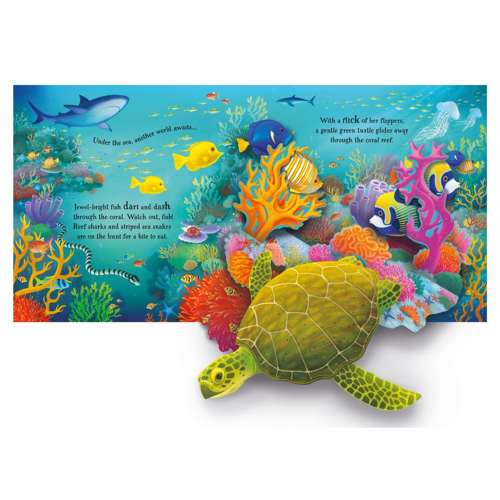 dktoday-หนังสือ-usborne-pop-up-animals