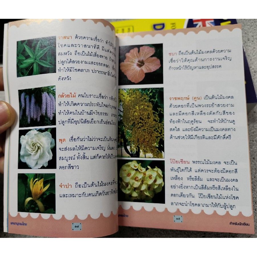 ภาพสินค้าพจนานุกรมไทย ฉบับนักเรียน15,000คำ80บ.(3949) จากร้าน ployrymongkonthong บน Shopee ภาพที่ 2