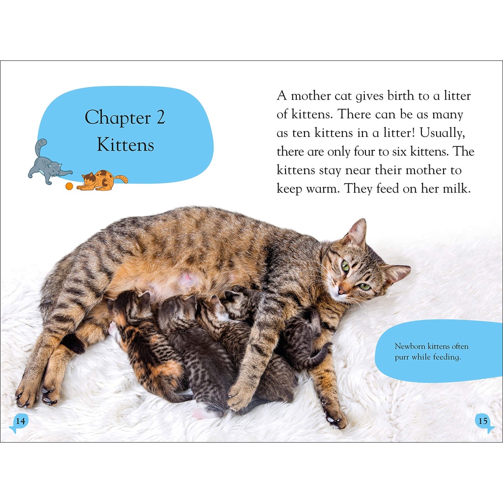 dktoday-หนังสือ-dk-reader-level-2-cats-and-kittens
