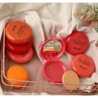 Blusher Vitality บลัชออนปัดแก้มสีสวยสดใส