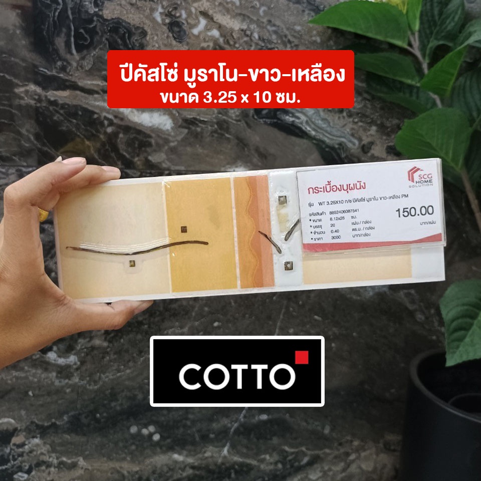 กรุยเชิง-cotto-12-x-12ซม-กระเบื้องบุผนัง-มีหลายแบบให้เลือก-ราคา-แผ่น