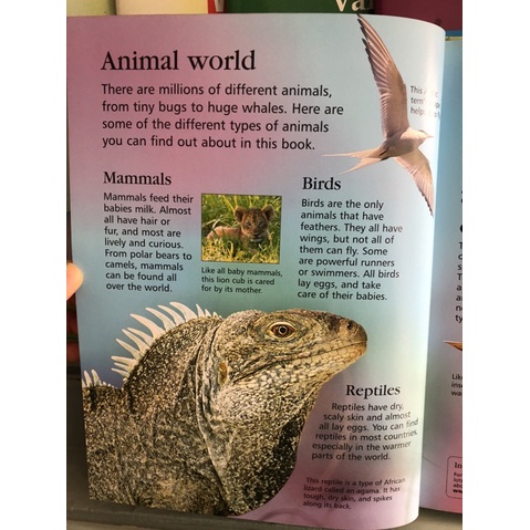 dktoday-หนังสือ-usborne-first-encyclopedia-of-animals