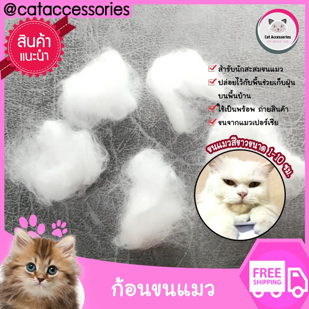 cataccessories-ก้อนขนแมว-มาจากขนแมวเปอร์เซียพันธุ์ดี-ขนแมวสีขาว-ความยาว-5-10-ซม-จำนวน-5-ก้อน-ราคารวมส่งฟรี