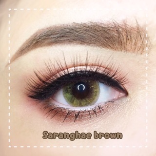 🌈Saranghae Brown (1) 🌈Limited Edition ซารางเง 🌈คอนแทคเลนส์ สีรุ้ง มีประกายทองวิบวับในดวงตา  Dreamcolor1 Contact lens