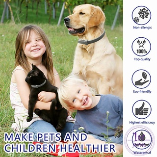 ปลอกคอกันเห็บ  ""ป้องกันเห็บหมัด"" ปลอกคอ ให้สัตว์เลี้ยง Pet insect repellent collar